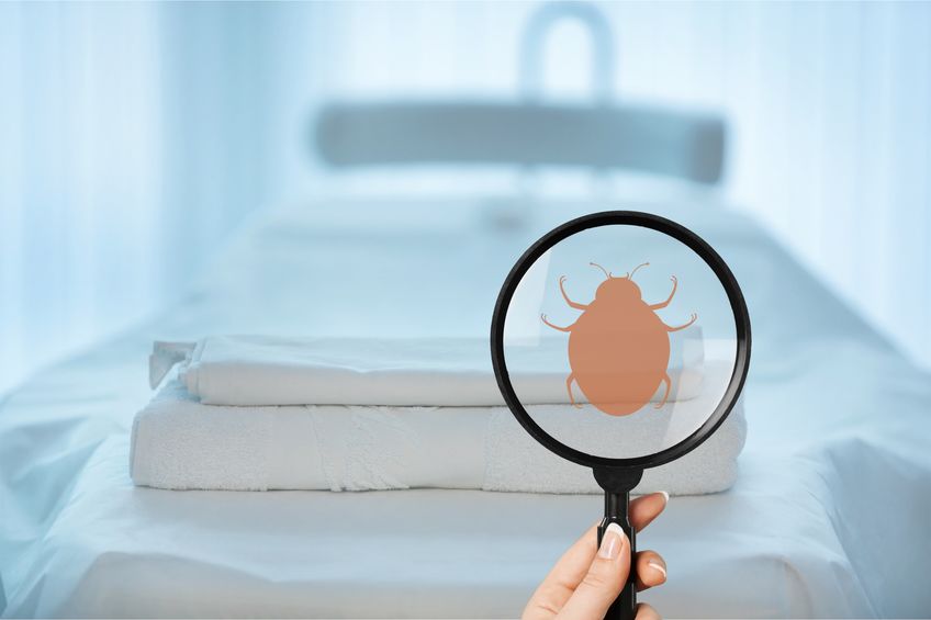 franklin hotel nyc bedbugs reviews