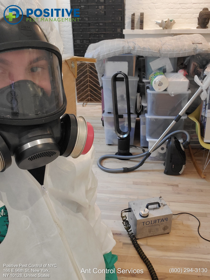 Positive Pest Management professional technician.