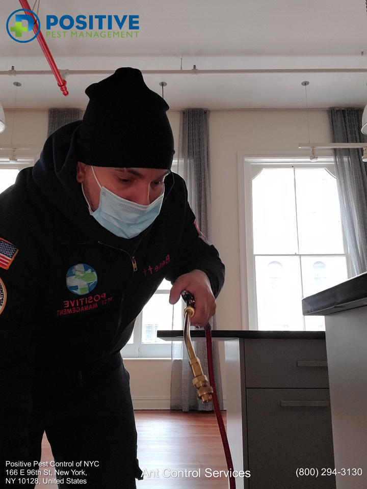 Positive Pest Management professional technician.